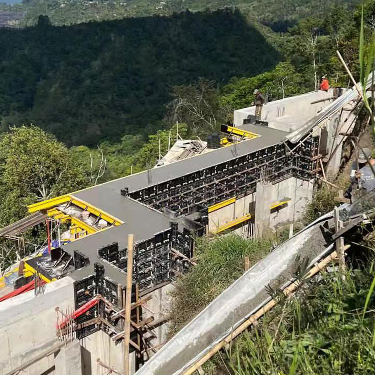 Coffrage en plastique réglable de mur d'ABS pour le coulage concret